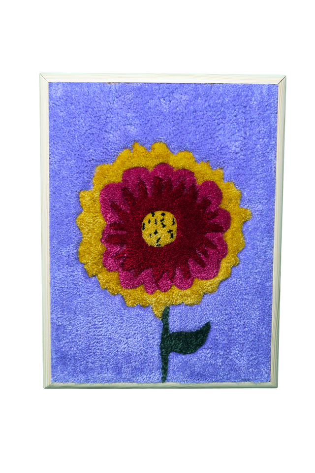 Gaillardia Pulchella 