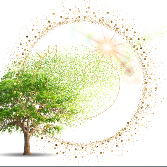 Sophrologie individuelle (en digital)