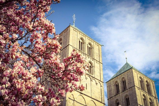 Dom mit Magnolienzweigen