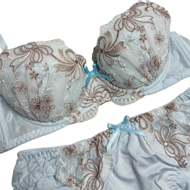 coquette blue bow embroidered bra and underwear set 34A, 36D, 34DD