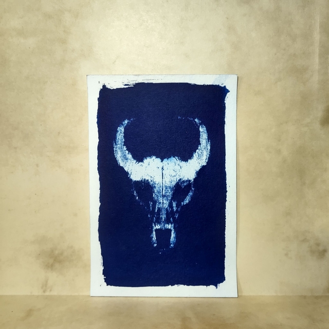Cyanotype Empreinte Tête d'antilope