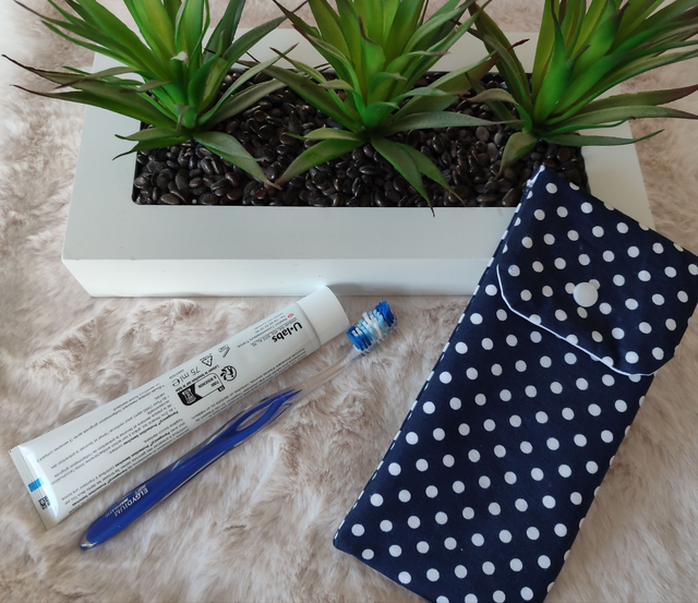 étui de voyage pour brosse à dents et dentifrice 