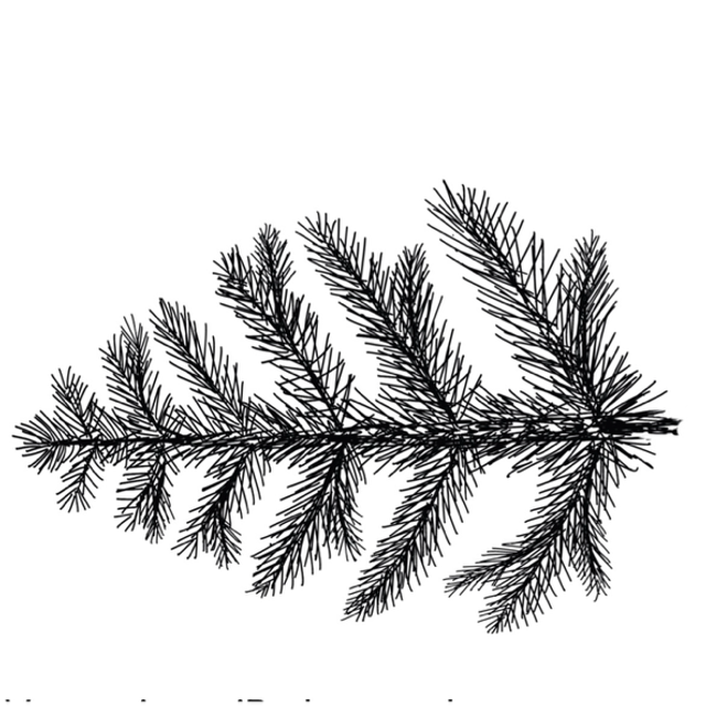 Stempel Tannenzweig 5x7cm