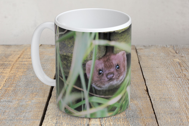 “Pop Goes The Weasel” Mug 