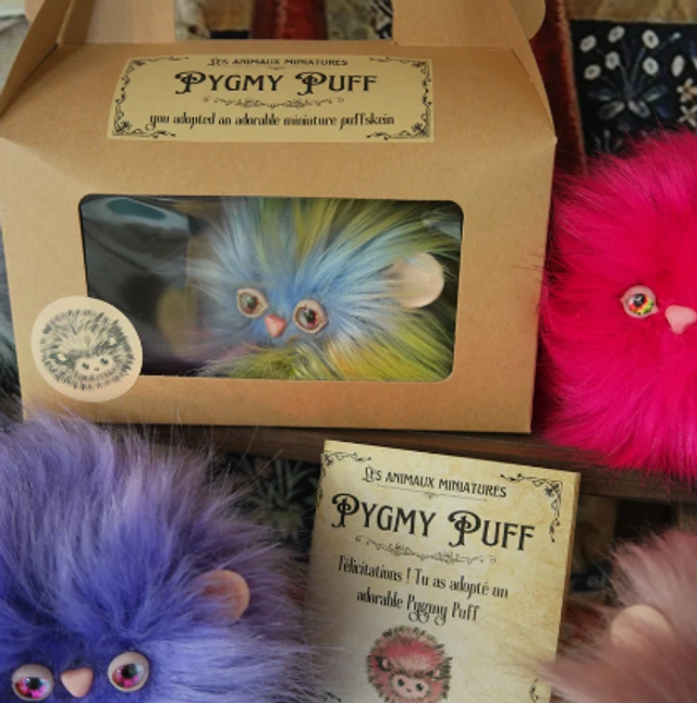 Supplément (boite + livret d'adoption)