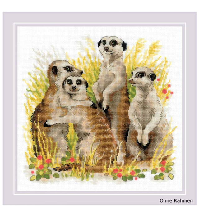 Erdmännchen