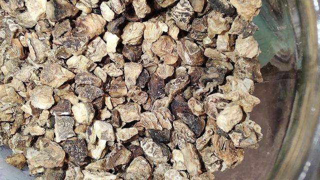 Duivelsklauw / Harpago