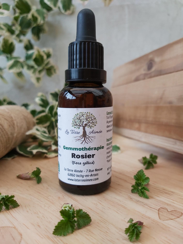 Rosier (bourgeons) 30ml