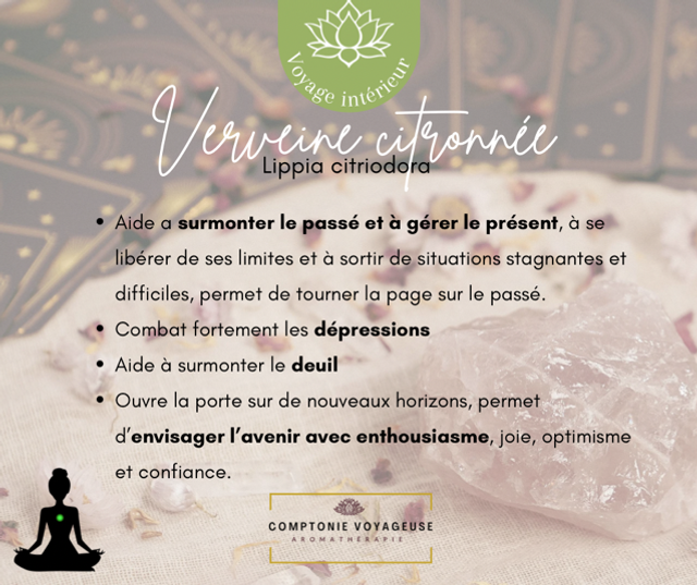 Voyage intérieur - Verveine citronnée 