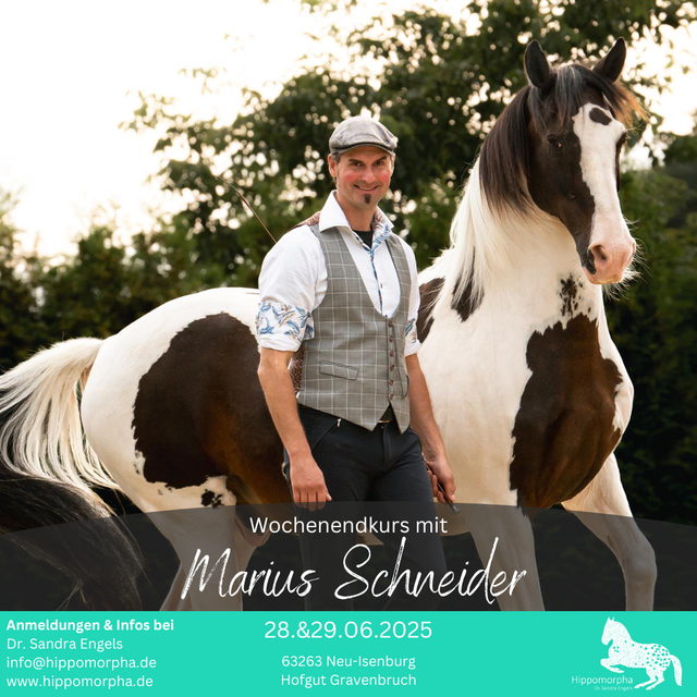 ZuschauerIn SONNTAG Wochenendseminar mit Marius Schneider 