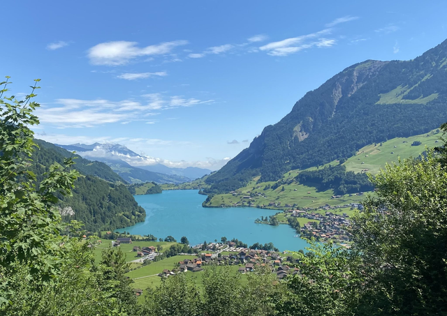 Zurich Airport to Interlaken- Van Transfer