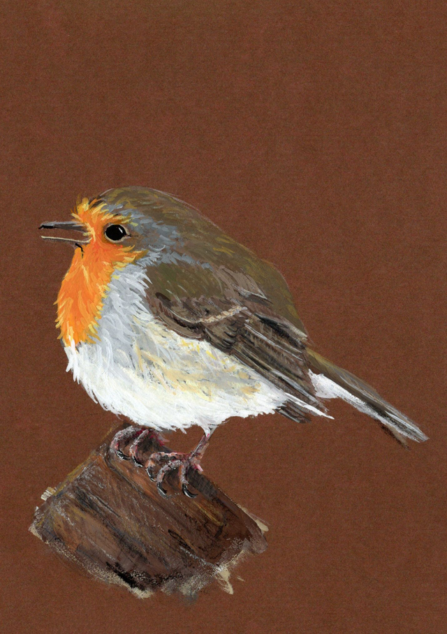 FineArt-Print - Rotkehlchen No.2