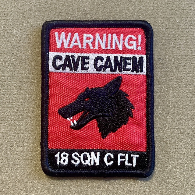 18Sqn C Flt Patch