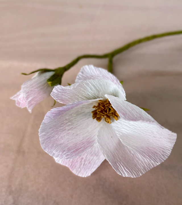 Eglantine "Eléor" avec son vase artisanal offert