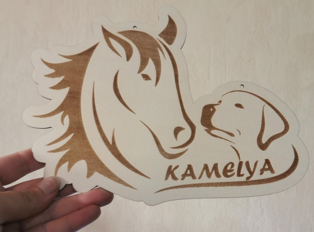 Suspension murale / plaque de porte personnalisée 