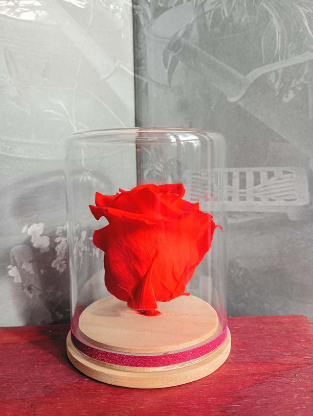 S05 unique rose rouge