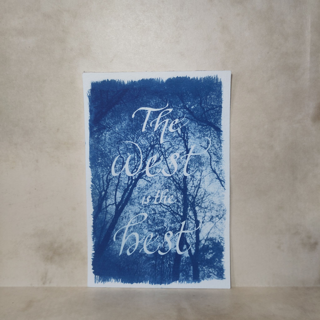 Cyanotype The West et forêt de Brocéliande