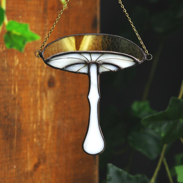 Chanterelle de lumière 
