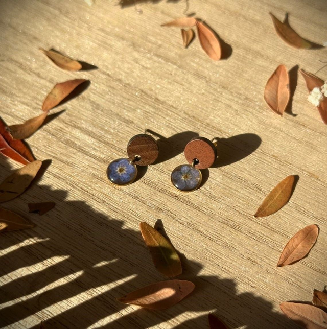 Fanny - Myosotis boisée