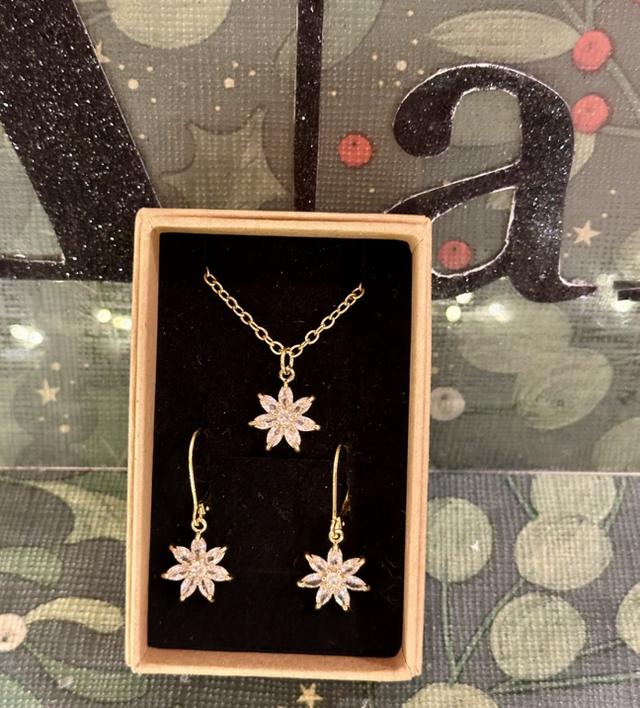 EARRINGS & NECKLACE SET2