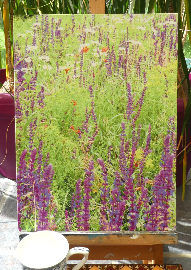 Photographic Open Edition Canvas Panel Print, from my "Floral" collection, "Purple Meadow"