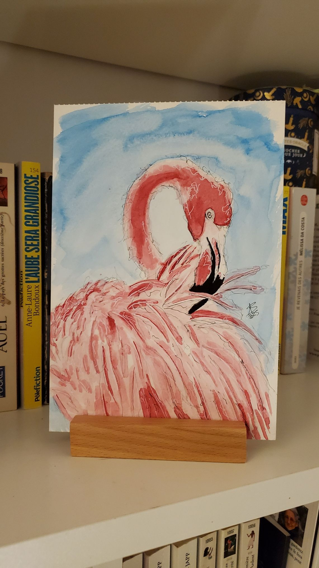 [1900] Flamant rose