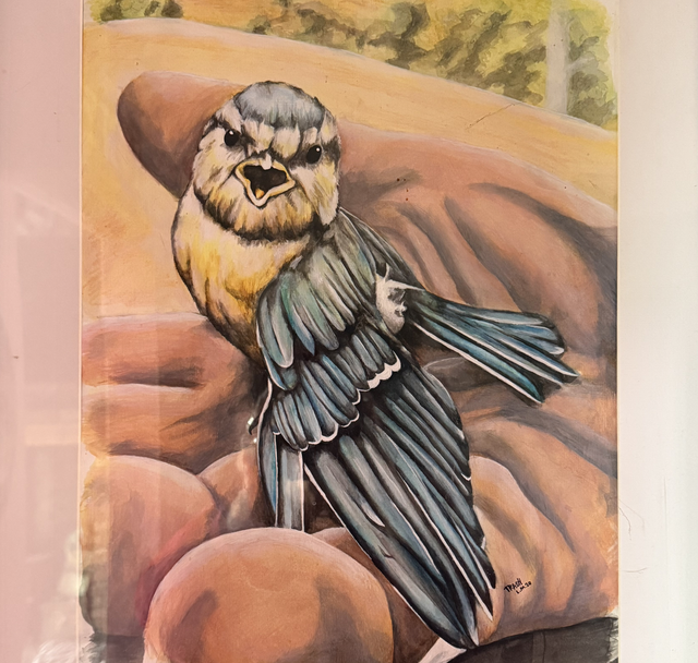Bird in Hand Original Art 