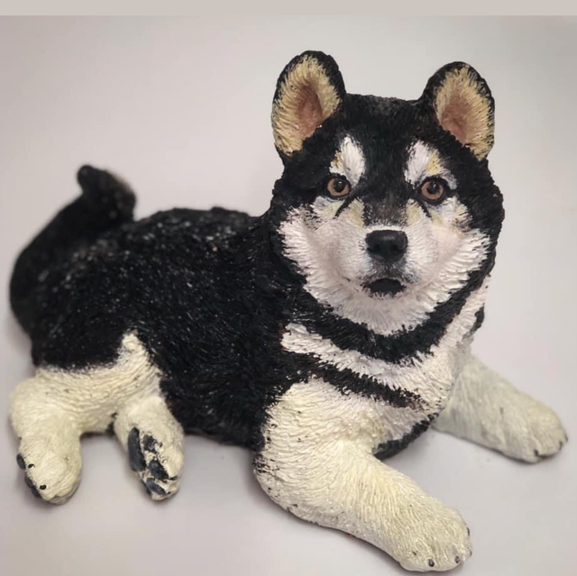 Painted Chocolate Husky