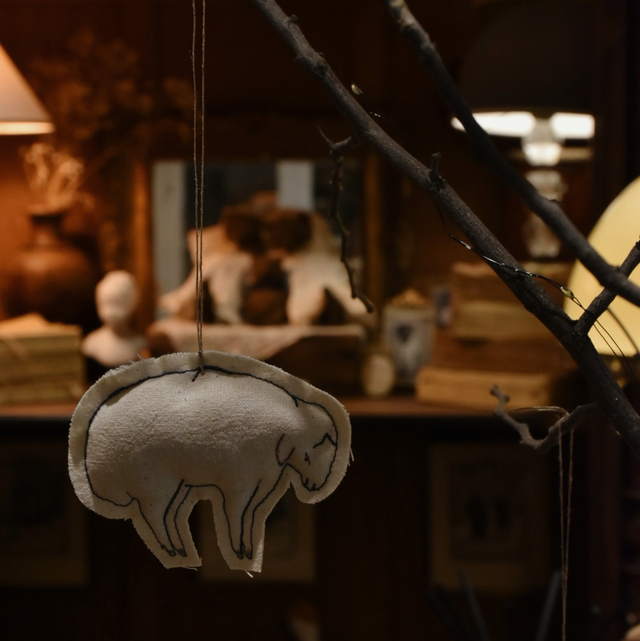 Petite brebis primitive 