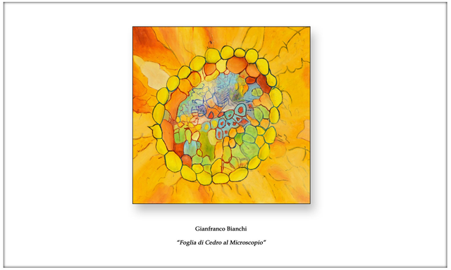 Litografia "Foglia di Cedro al Microscopio"