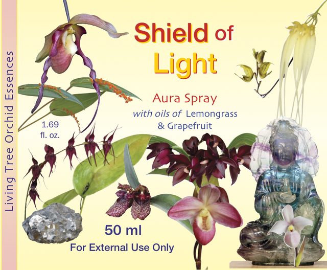 Shield of Light Aura Spray