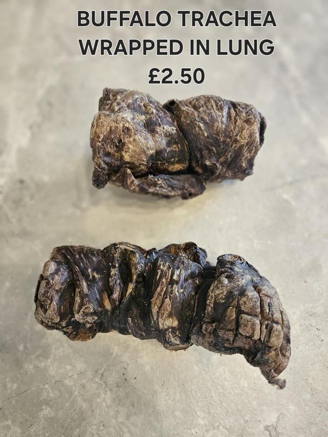 Buffalo Trachea  wrapped in lung