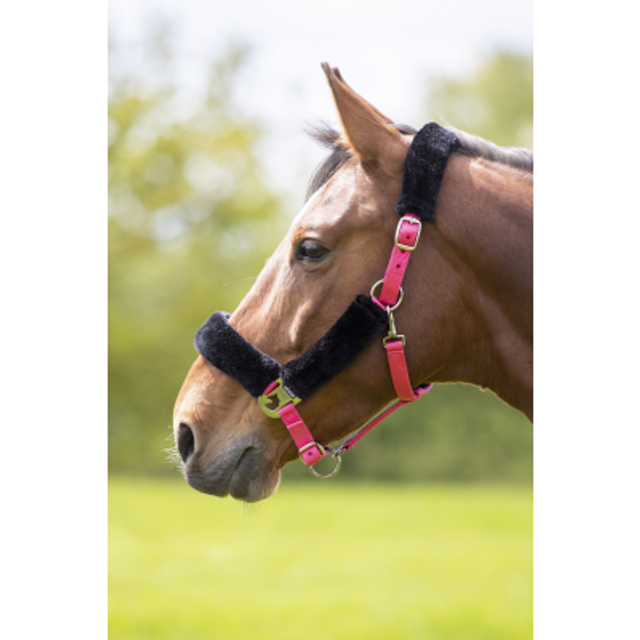 Shires Fleece Lined Head Collar