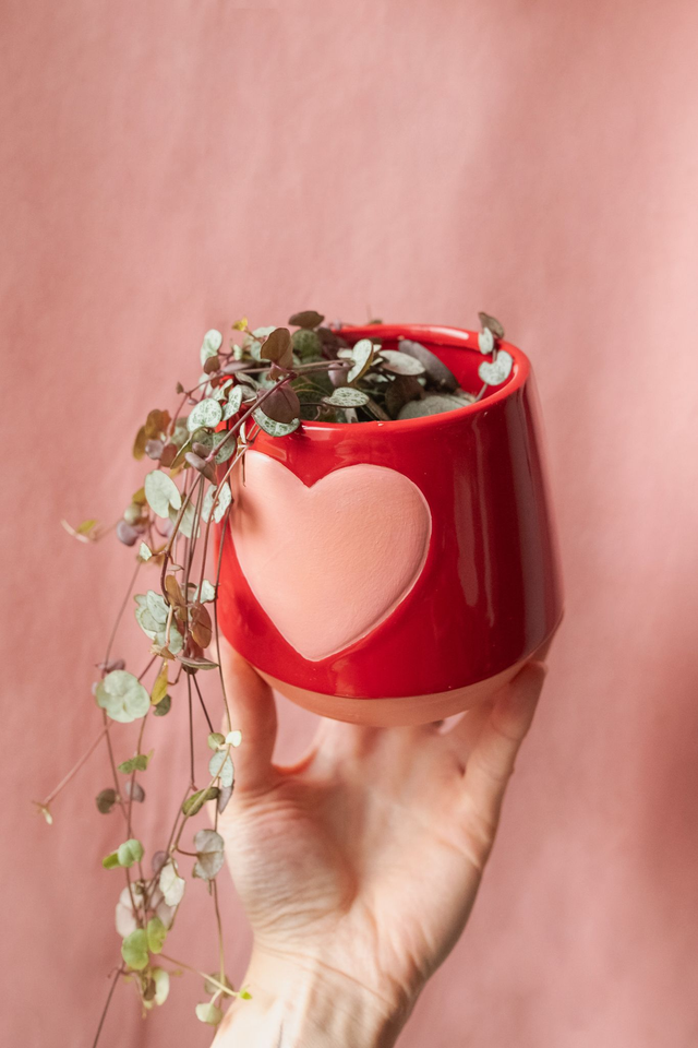 Pot “Sweetheart” 🧩 Mix & Match