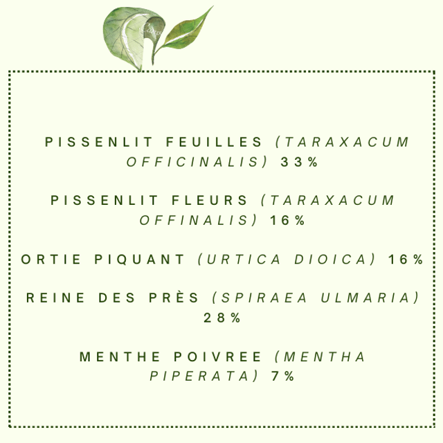 Tisane "L'Antirouille" Réduit l'excès d'acide urique