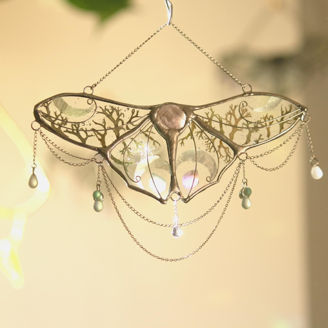 Phalènes des brumes