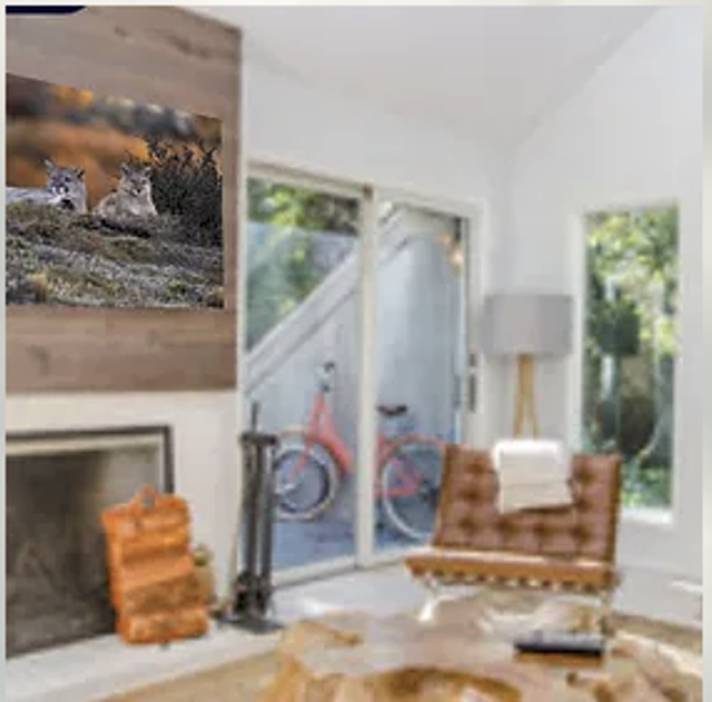 Tirage Fine Art sous Cadres en Chêne Massif 30 mm