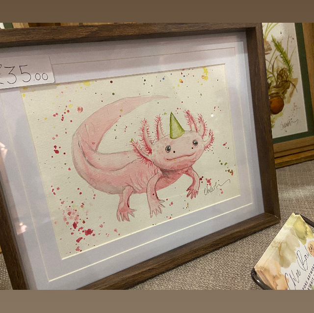 Original ‘Birthday Axolotl’ A5 painting in dark wood frame 