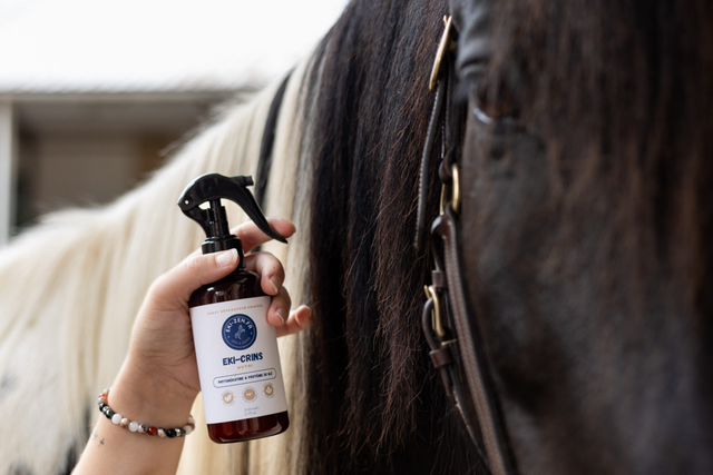 SOIN CRINIERES CHEVAL
