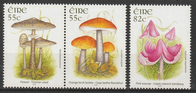 Ireland  2008  Fungi,Mushrooms  Set  MNH