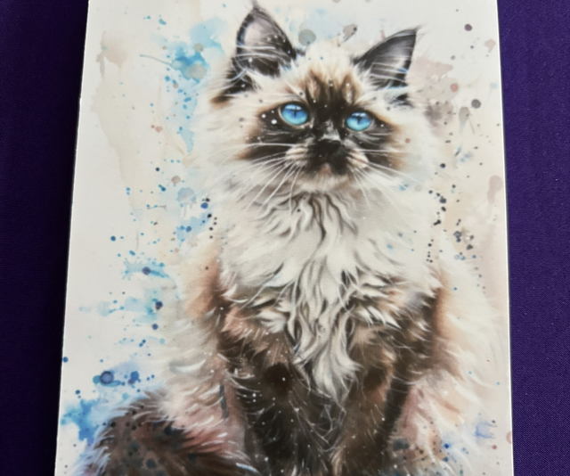 Plain Note Pad Cat Rag Doll