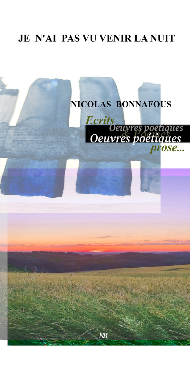 Je n'ai pas vu venir la nuit 