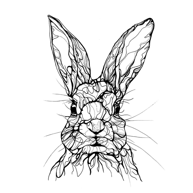 B&W A3 print - rabbit
