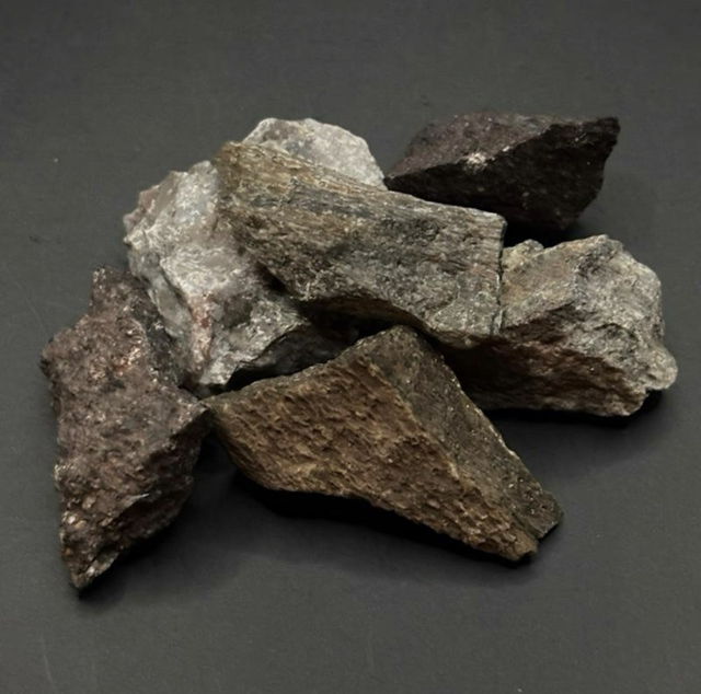 Triceratops Bone Fragment 