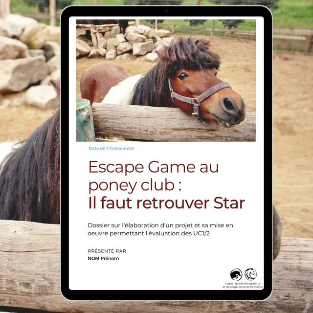 Dossier UC1/2 - Projet d&#039;animation - BPJEPS activités équestres 