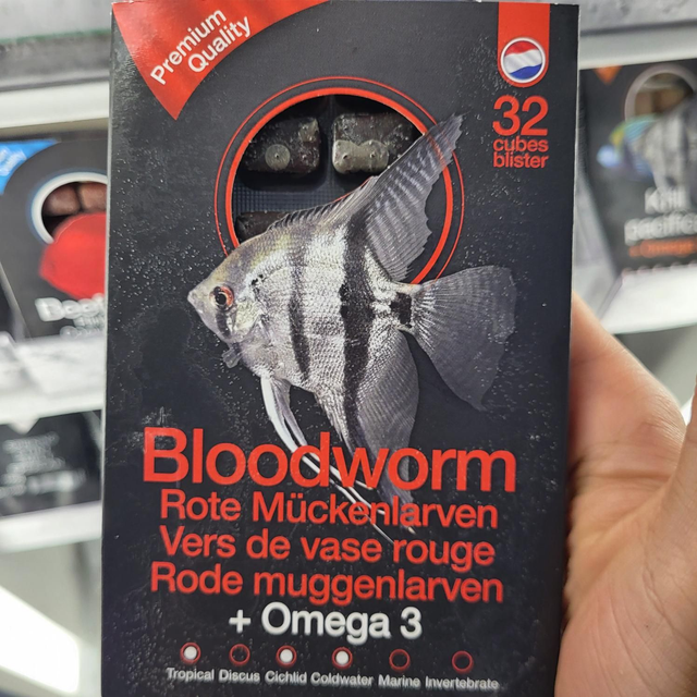Ds bloodworm 8715897227554