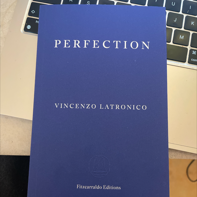 Perfection Vincenzo Latronico