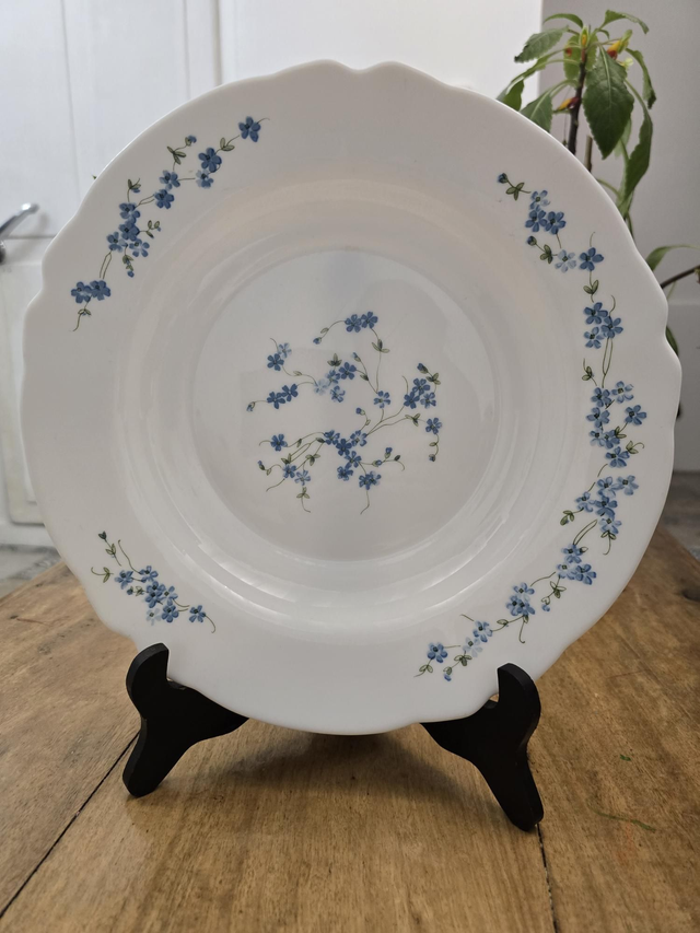 Plat creux Arcopal Myosotis 