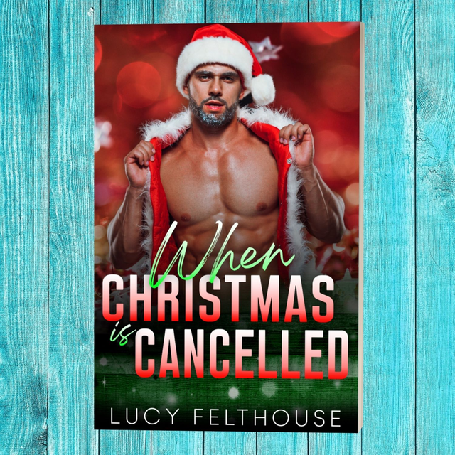 When Christmas is Cancelled: A M/F Steamy Contemporary Second Chance Romance Novel