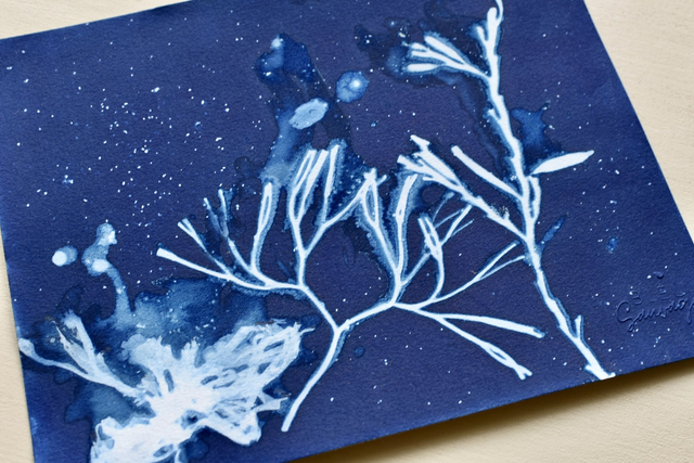 Algae - Symphonie aquatique - A4